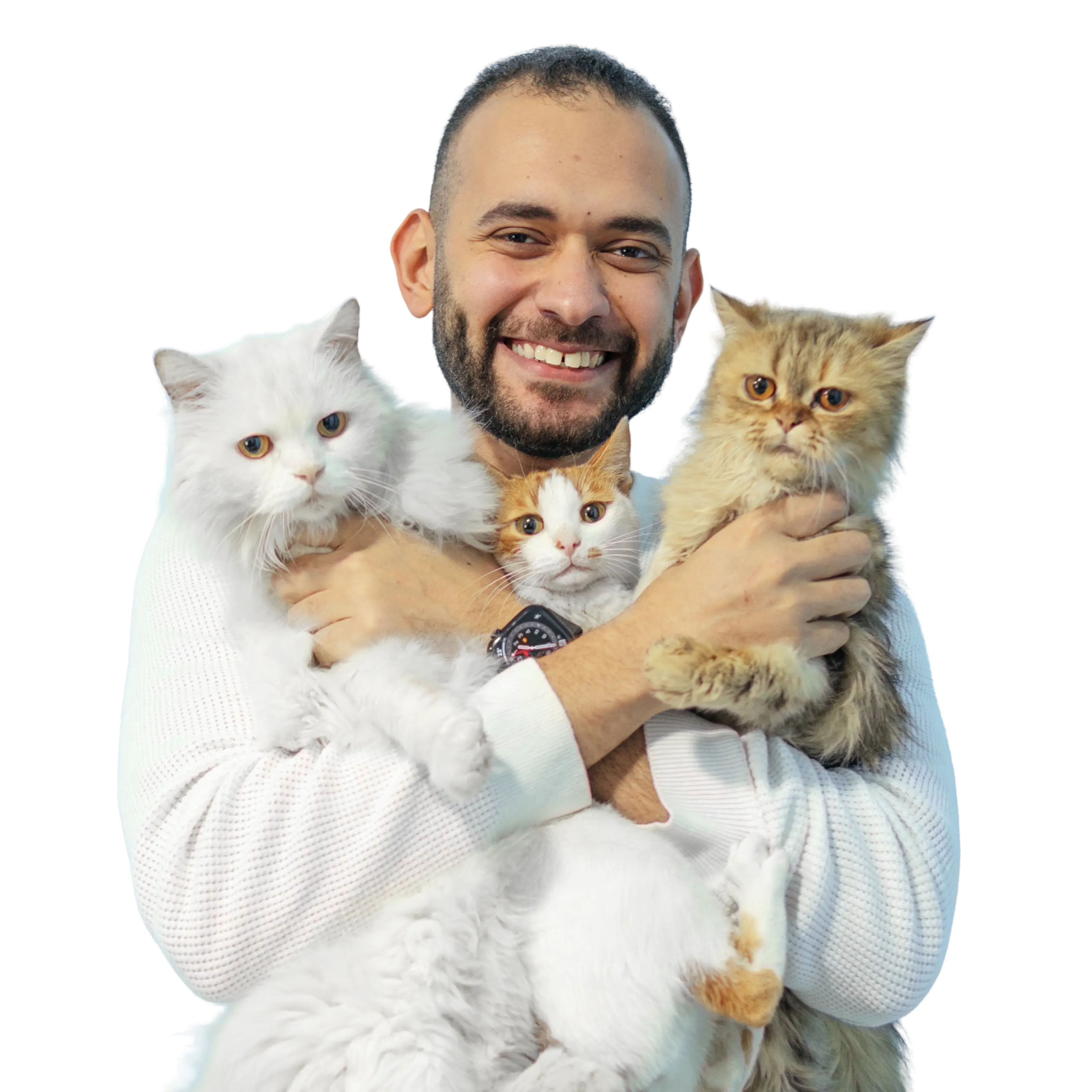 Raafat holding three cats: Lilly, Marshmellow and Juhayna